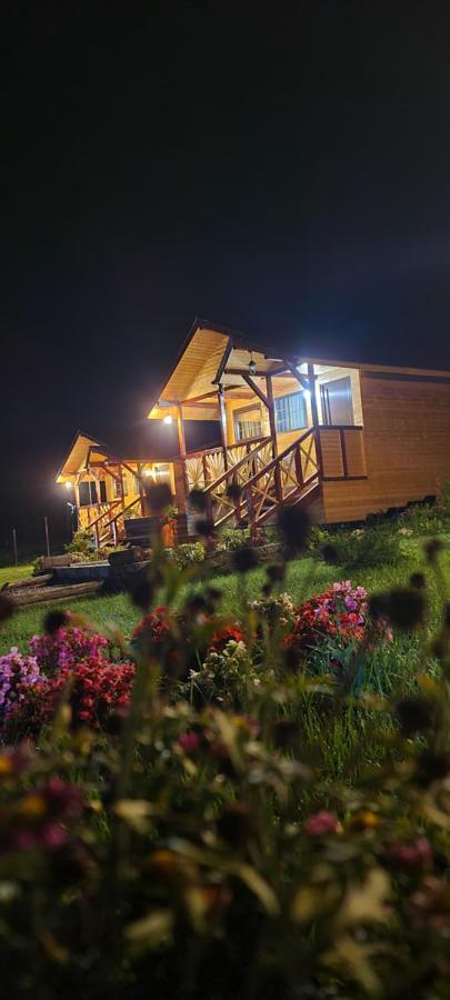 Baltina Parc Transfagarasan Βίλα Curtea de Argeş Εξωτερικό φωτογραφία