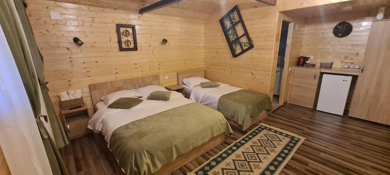 Baltina Parc Transfagarasan Βίλα Curtea de Argeş Εξωτερικό φωτογραφία