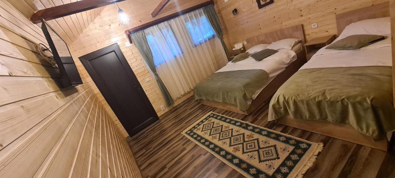Baltina Parc Transfagarasan Βίλα Curtea de Argeş Εξωτερικό φωτογραφία