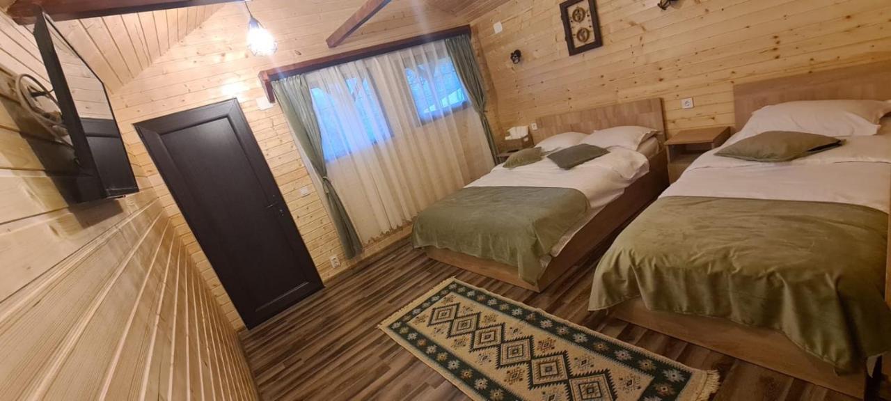 Baltina Parc Transfagarasan Βίλα Curtea de Argeş Εξωτερικό φωτογραφία