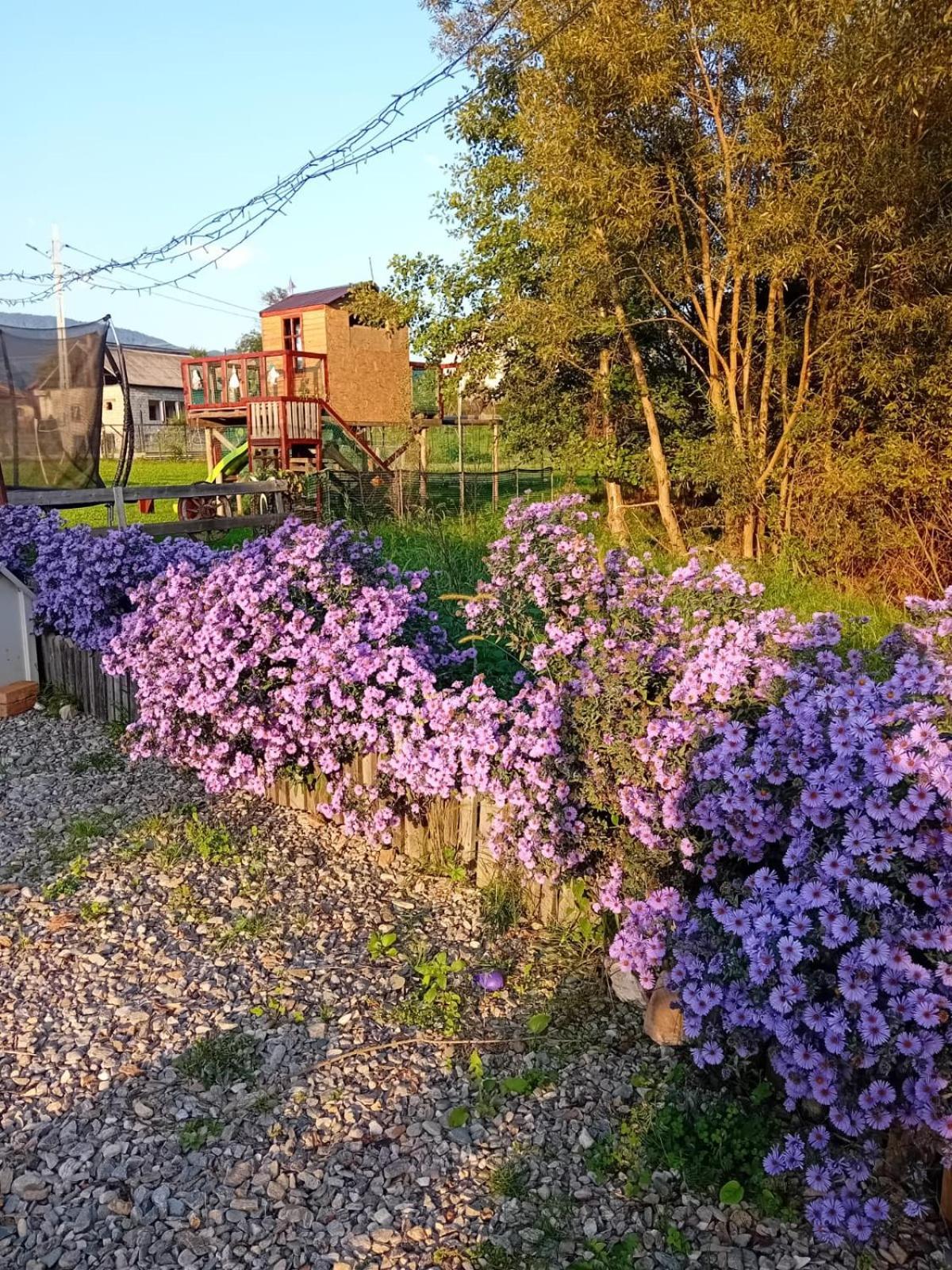 Baltina Parc Transfagarasan Βίλα Curtea de Argeş Εξωτερικό φωτογραφία