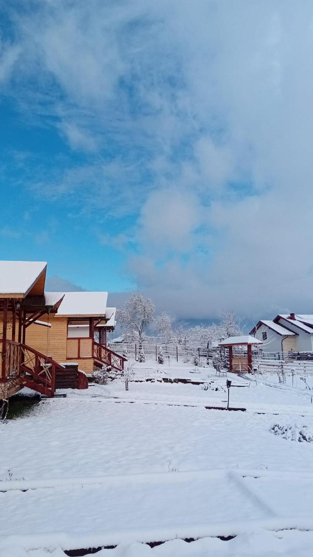 Baltina Parc Transfagarasan Βίλα Curtea de Argeş Εξωτερικό φωτογραφία