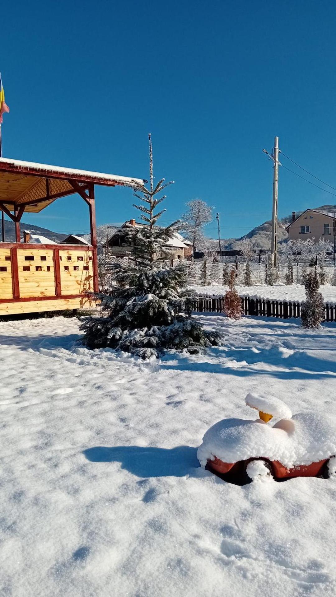 Baltina Parc Transfagarasan Βίλα Curtea de Argeş Εξωτερικό φωτογραφία
