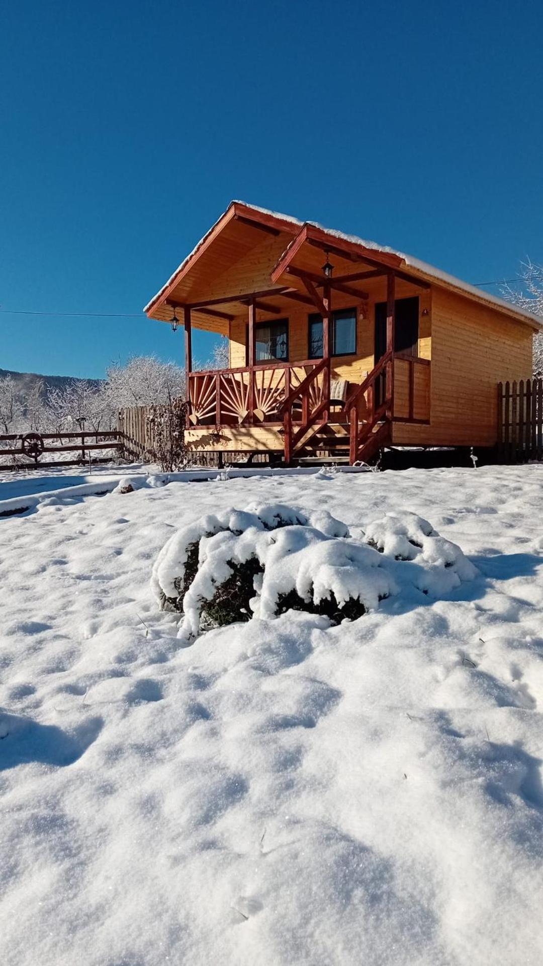 Baltina Parc Transfagarasan Βίλα Curtea de Argeş Εξωτερικό φωτογραφία
