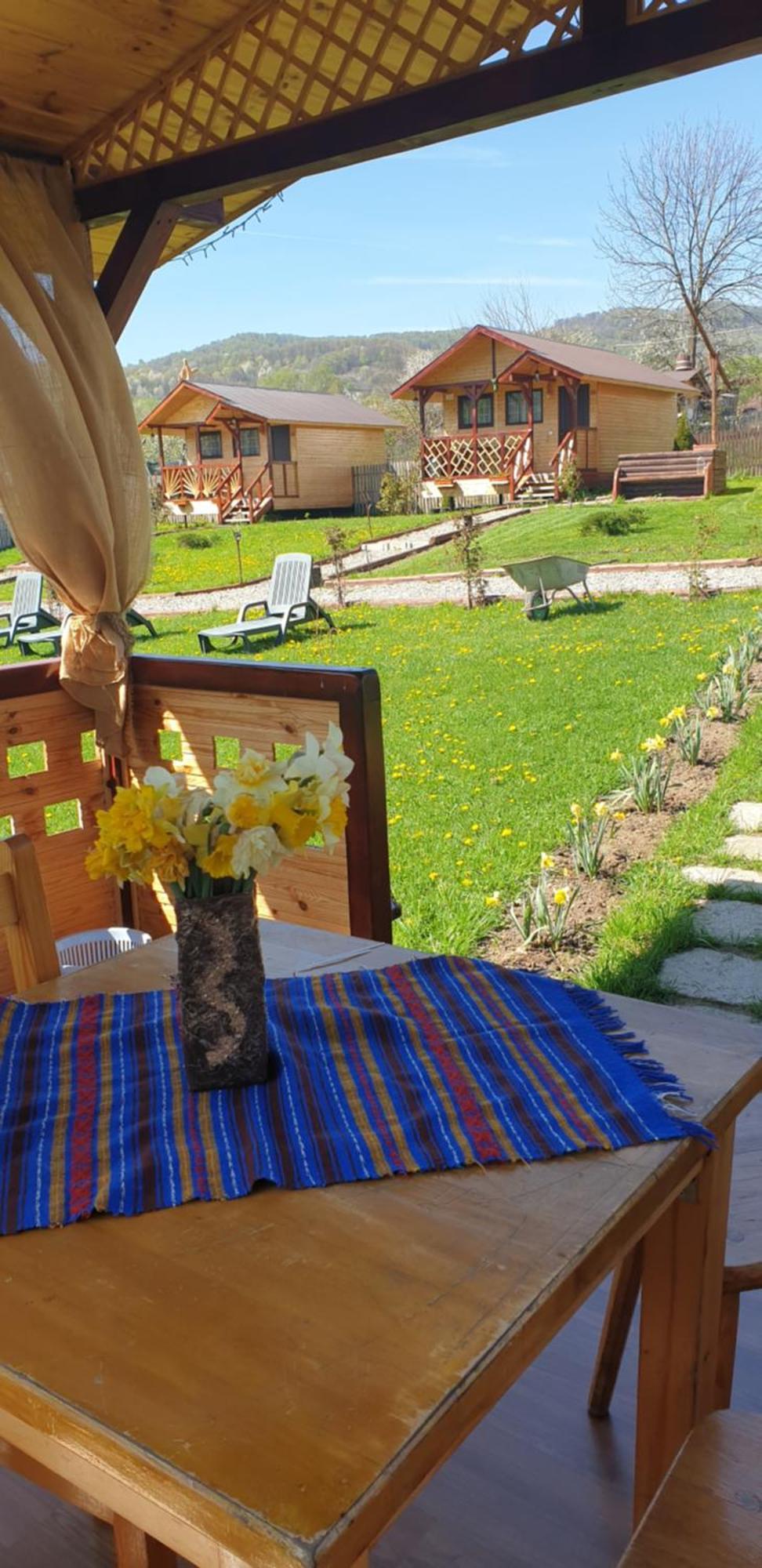 Baltina Parc Transfagarasan Βίλα Curtea de Argeş Εξωτερικό φωτογραφία