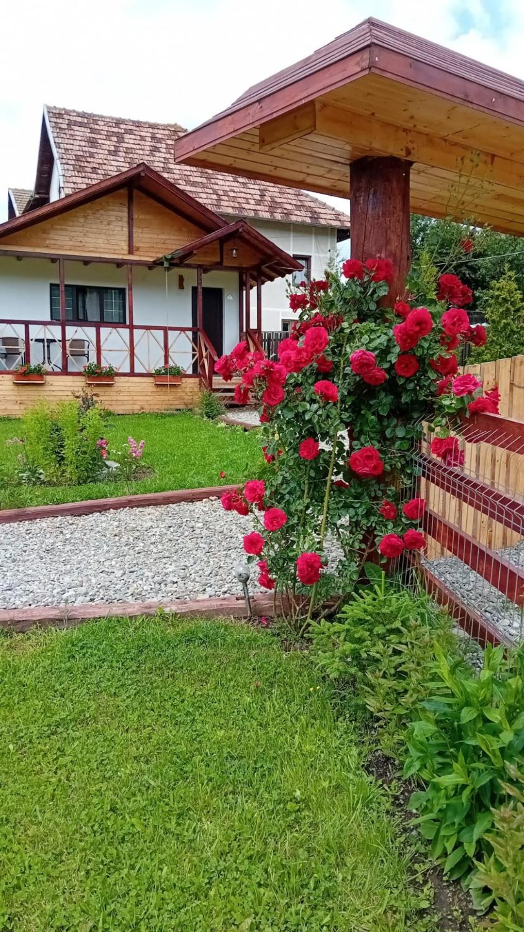 Baltina Parc Transfagarasan Βίλα Curtea de Argeş Εξωτερικό φωτογραφία